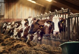 Managing Parasites Around the Farm